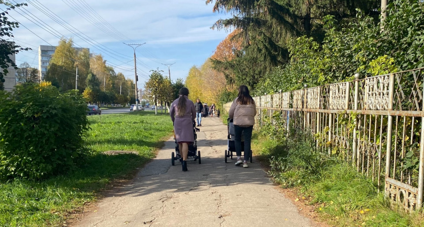 Кровь определит будущее ваших детей: у этих родителей всегда самые одаренные чада