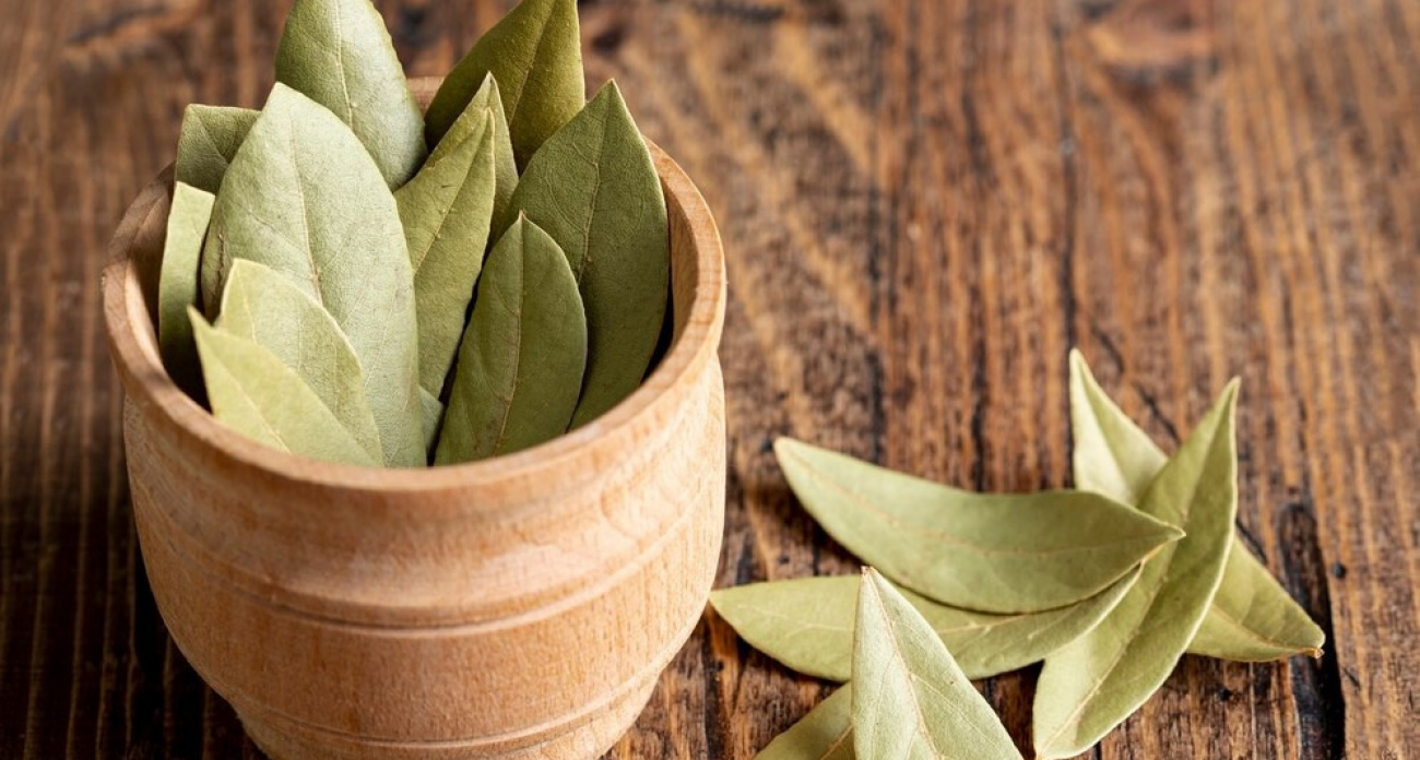 Беру колготки и лавровый лист: в туалете пахнет, как после грозы в горах - поразительный, но эффективный способ