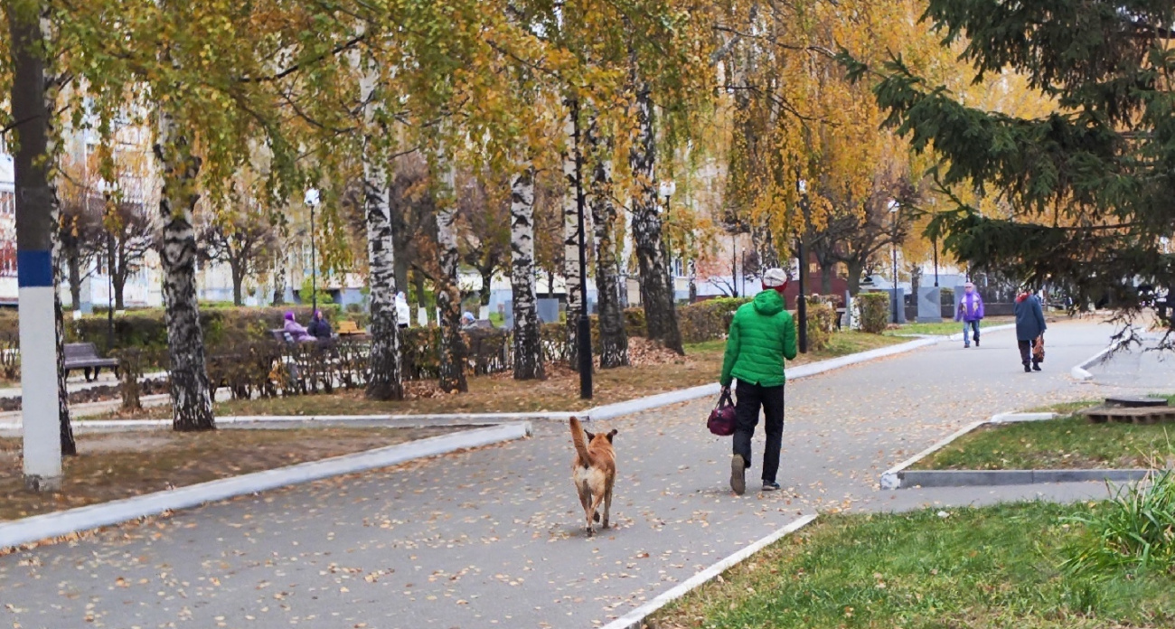 Ученые доказали: эта безобидная утренняя привычка притягивает бедность 