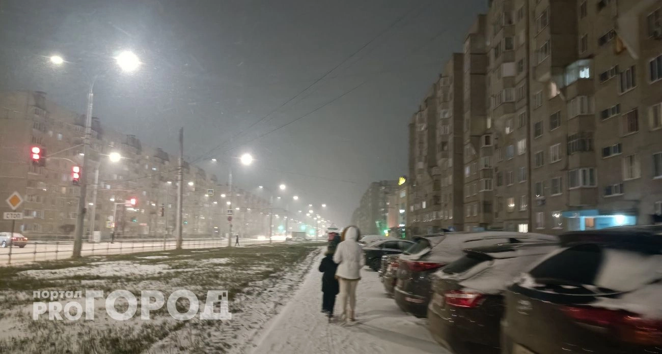 Фото к статье: Мокрый снег, мощный ветер и гололед: 1 ноября в Нижегородской области резко ухудшится погода