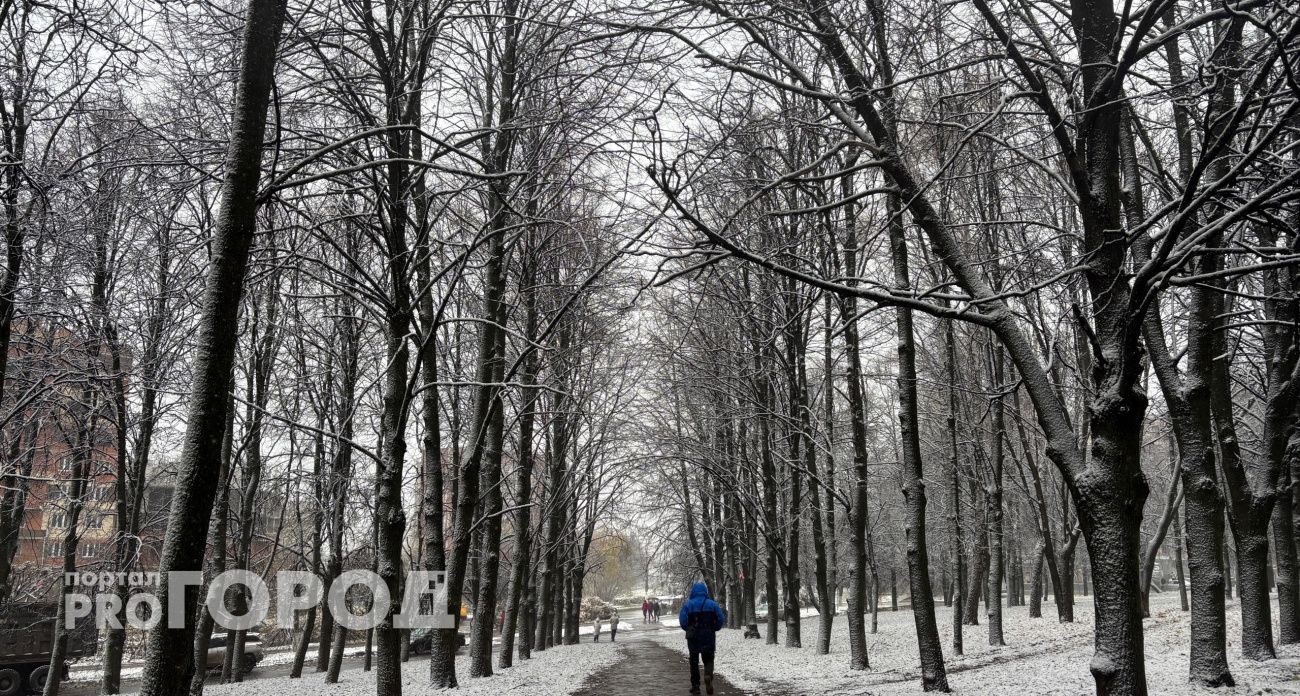 Гололедица и похолодание: что ждет Нижегородскую область в начале ноября