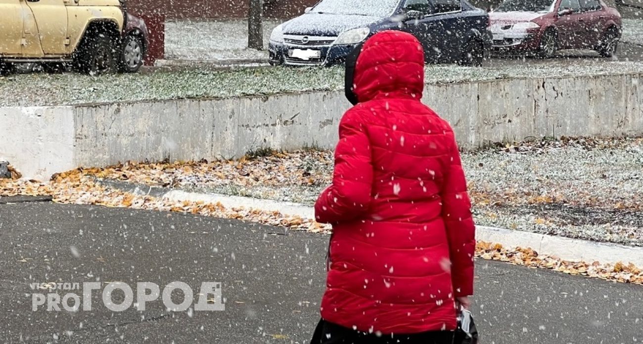 Бывшую сотрудницу нижегородской налоговой обвиняют во взяточничестве и злоупотреблении должностными полномочиями