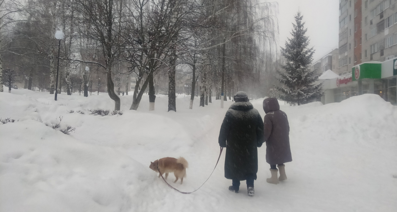 Указ одобрили тихо: пожилых россиян в возрасте от 59 до 83 лет ждут неожиданные новшества с 9 ноября