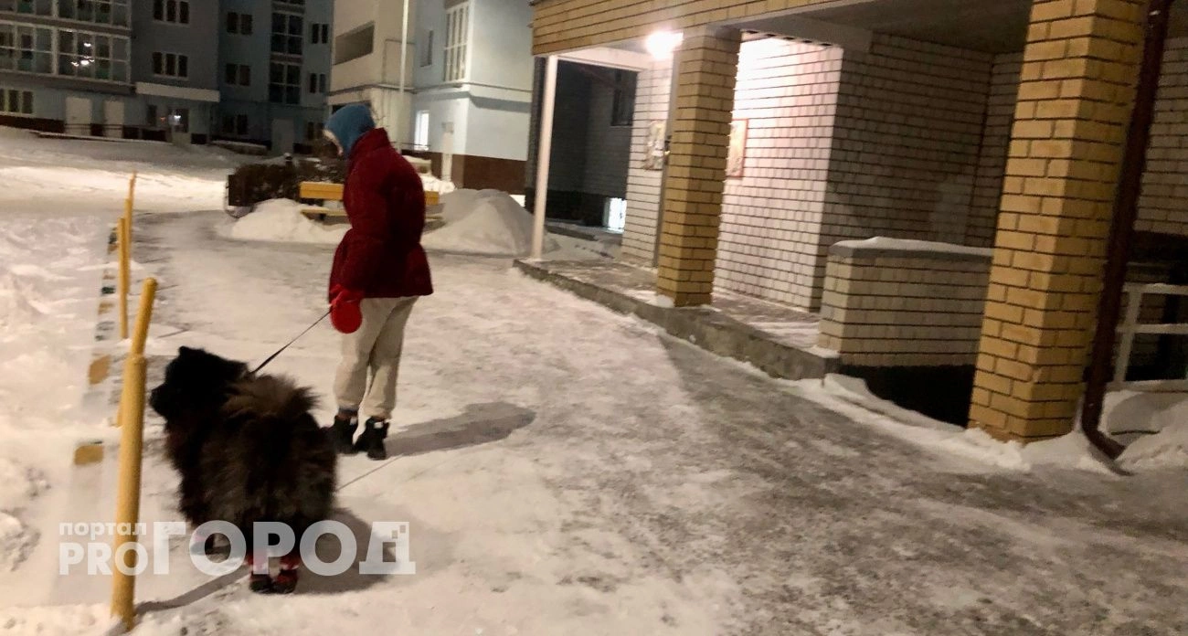 Фото к статье: Гололед и мокрый снег поджидают жителей Нижегородской области: прогноз погоды на завтра