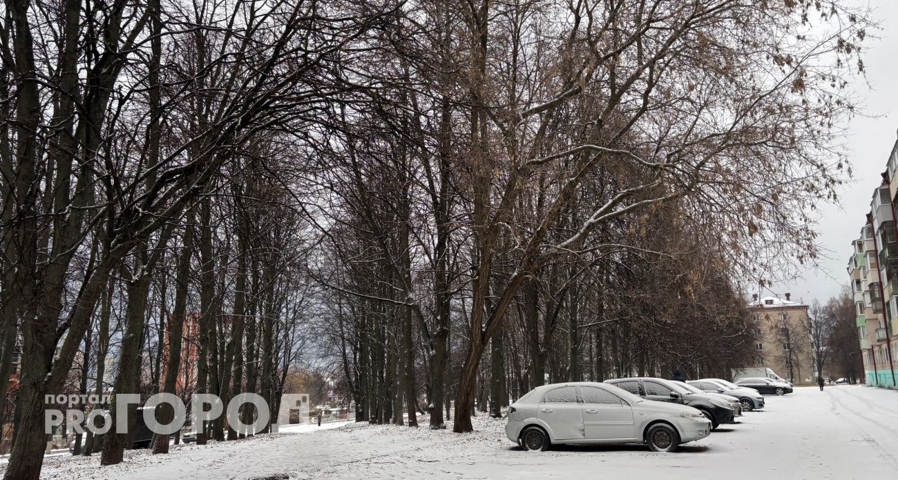 Мокрый снег и слабый ветер: как в Нижегородской области начнутся выходные