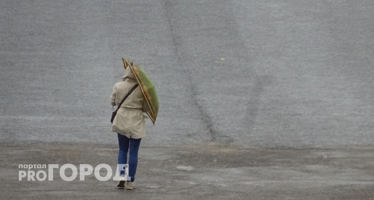 В Нижегородской области в пятницу ожидается опасная погода