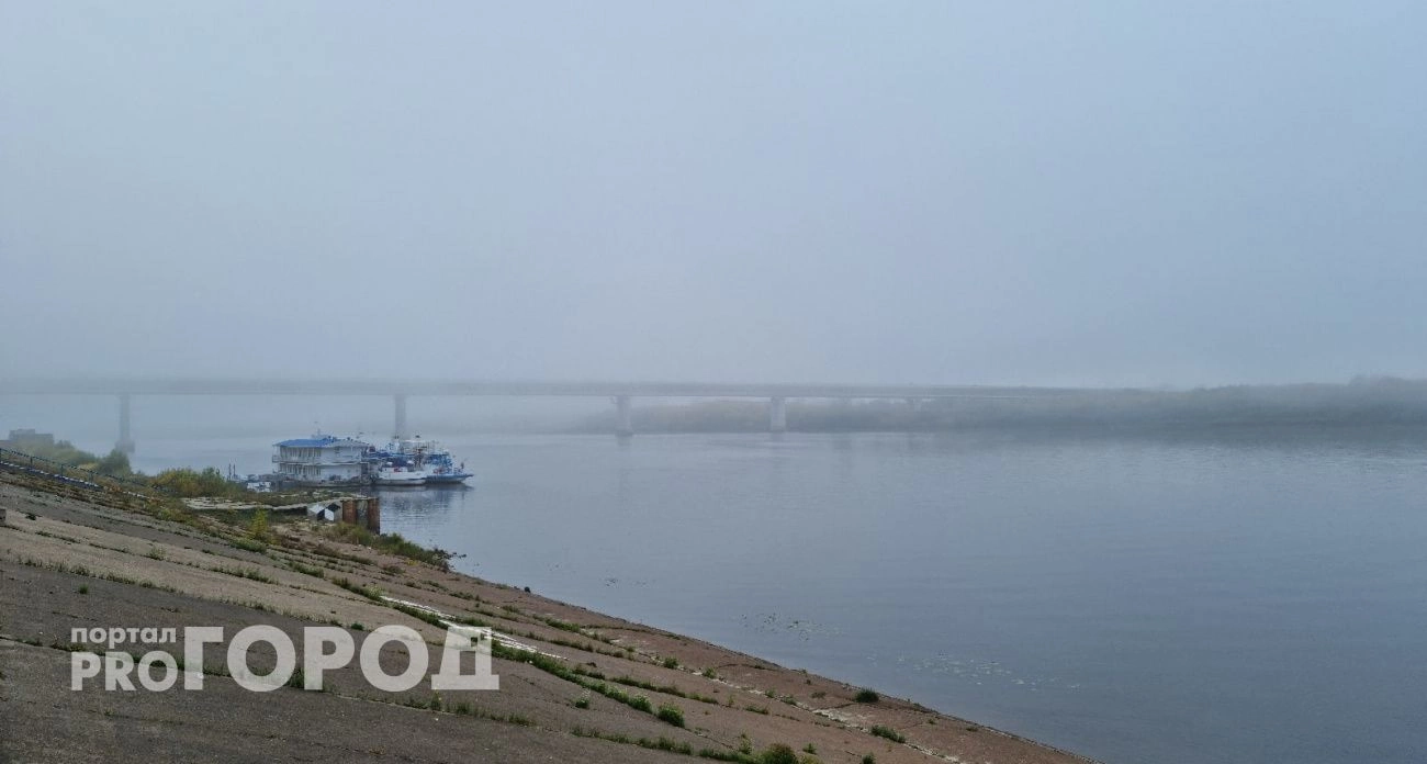 Фото к статье: В Нижегородской области расследует падение моториста с теплохода