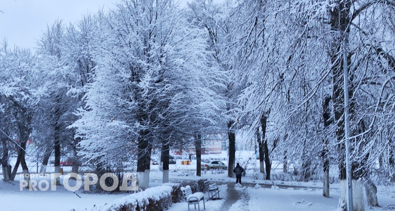 Облачно с небольшим снегом и гололедицей: нижегородцев ждет зимняя сказка