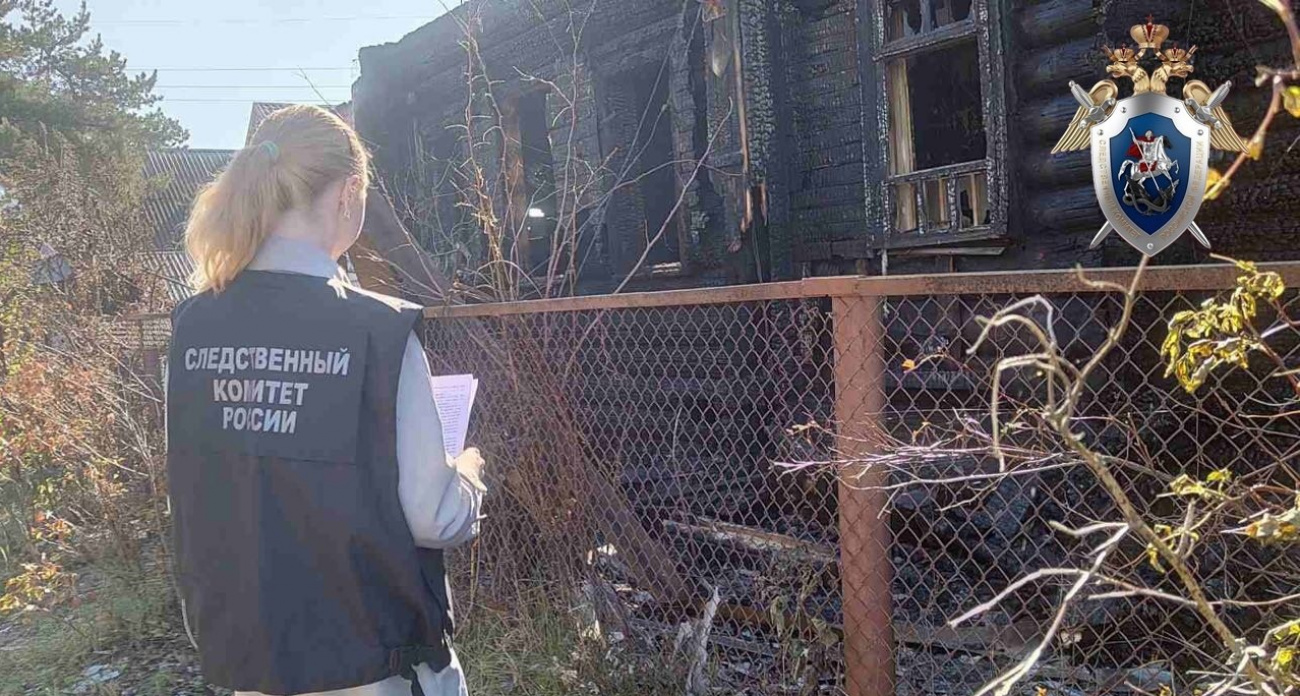 Жителя Заволжья, убившего родную сестру, приговорили к пожизненному заключению 