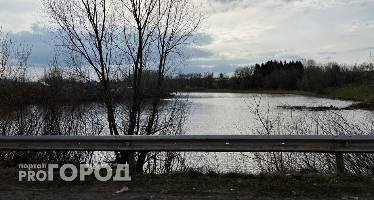 В Тоншаевском районе из воды достали тело мужчины 