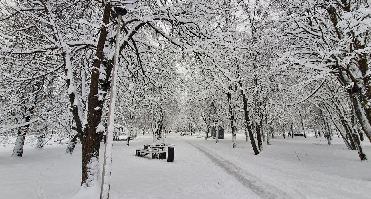 Грянут из ниоткуда: Россию скуют крепчайшие морозы - Вильфанд назвал дату старта настоящей зимы