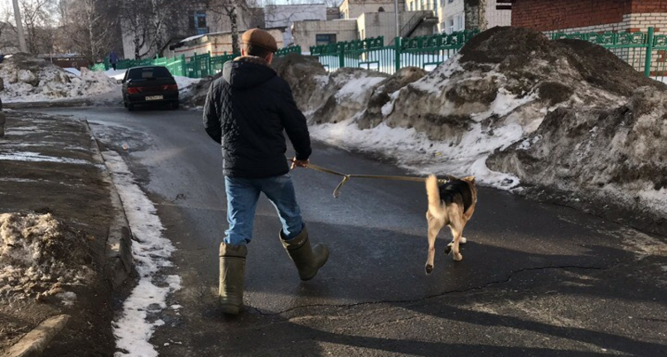 "Будут грести деньги лопатой": Глоба назвала знаки зодиака, которым привалит богатство в конце декабря 2024