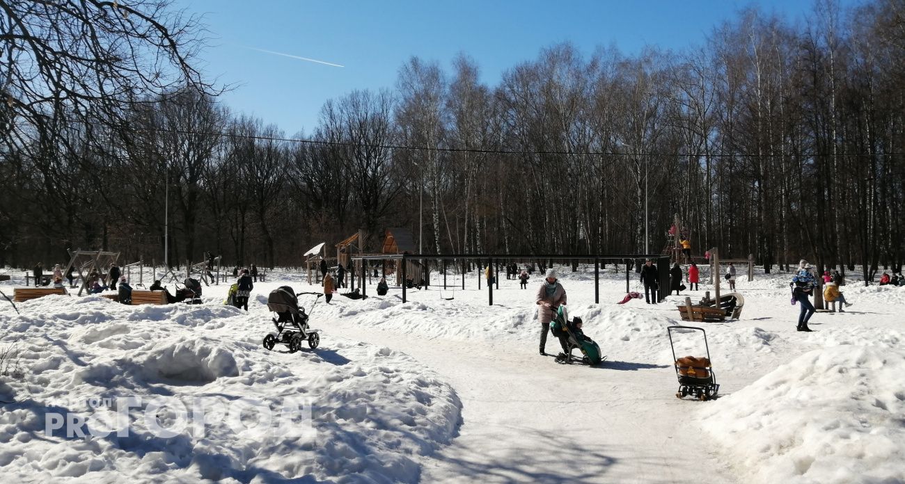 Начало недели встретит нижегородцев снегопадом и морозом