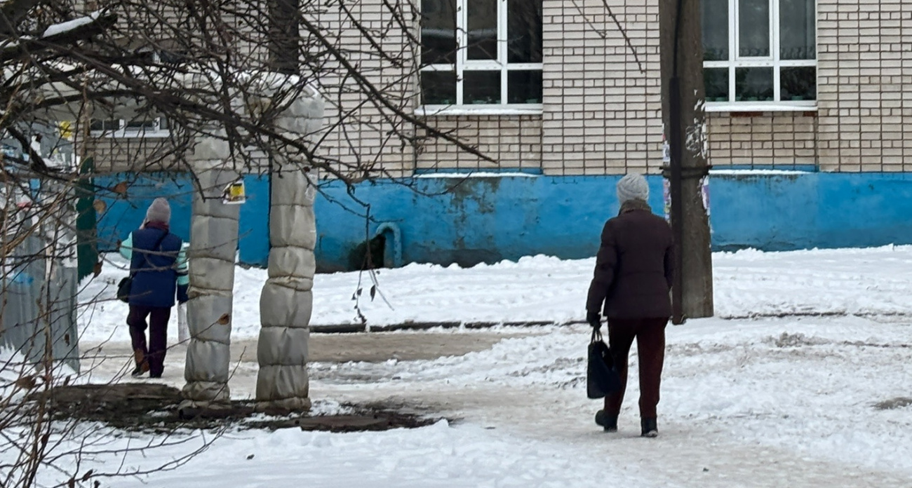 "Аномальный январь на подходе": Вильфанд озвучил прогноз на середину зимы