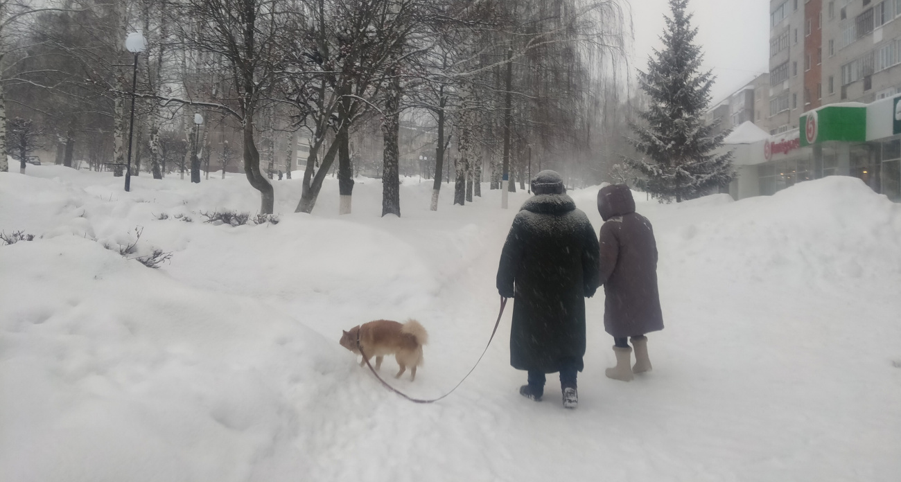 Что не говорят вслух: эти 3 изменения в пенсионной системе затронут каждого