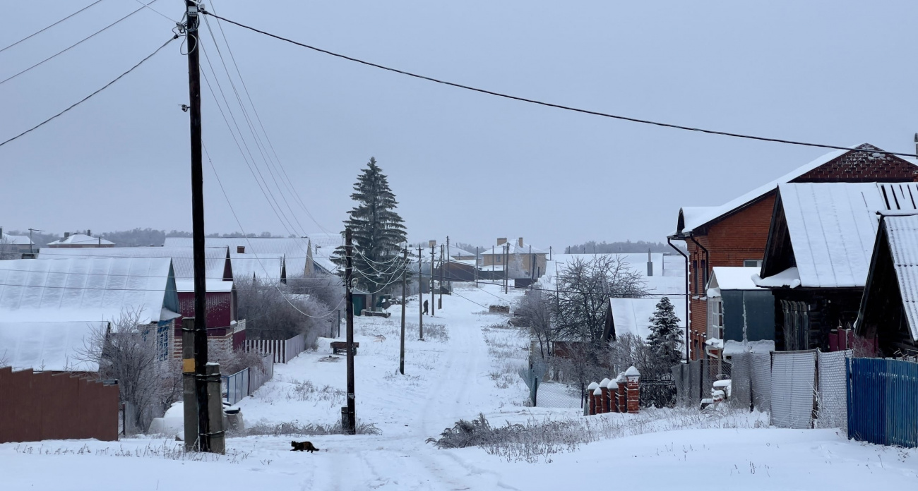 Теперь строго запрещено: новое требование для всех владельцев дач и огородов