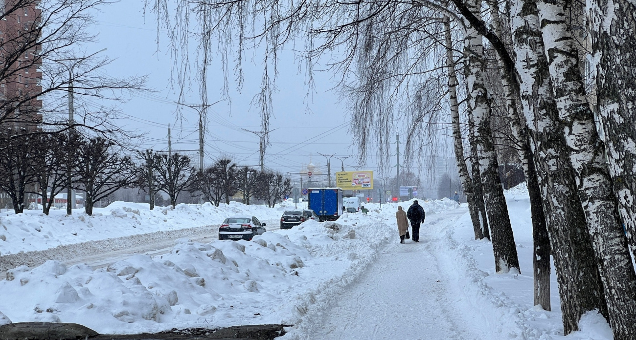 Вильфанд предупредил об аномальных 39-градусных морозах - перед Новым годом накинутся на Россию