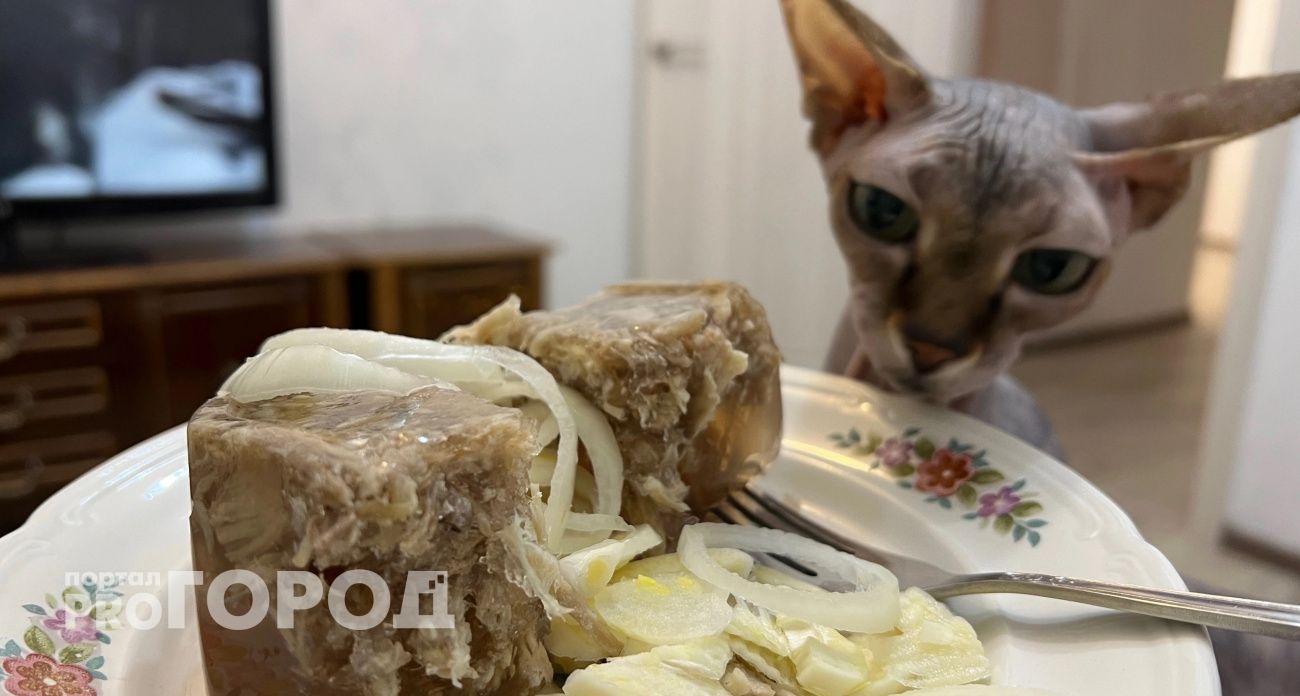 Нижегородцам приходится есть одни из самых дорогих холодцов в ПФО