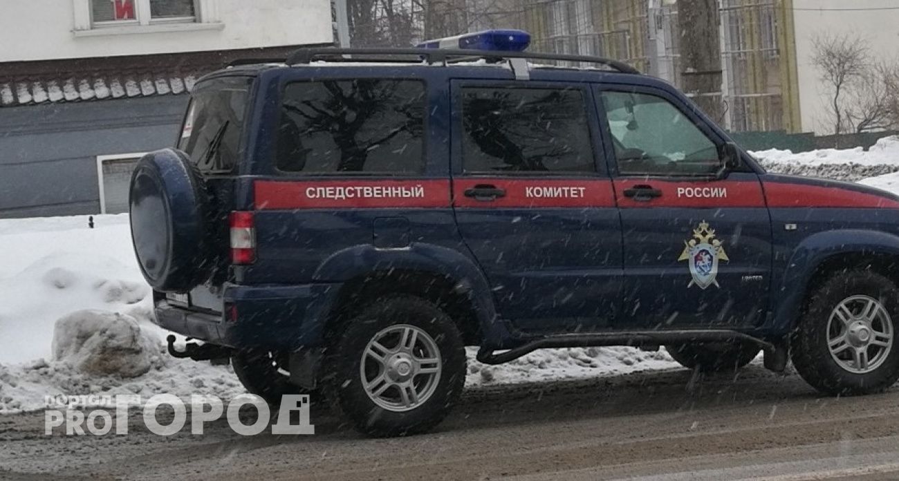 Бастрыкин взял под контроль дело о декабрьском убийстве в Нижегородской области