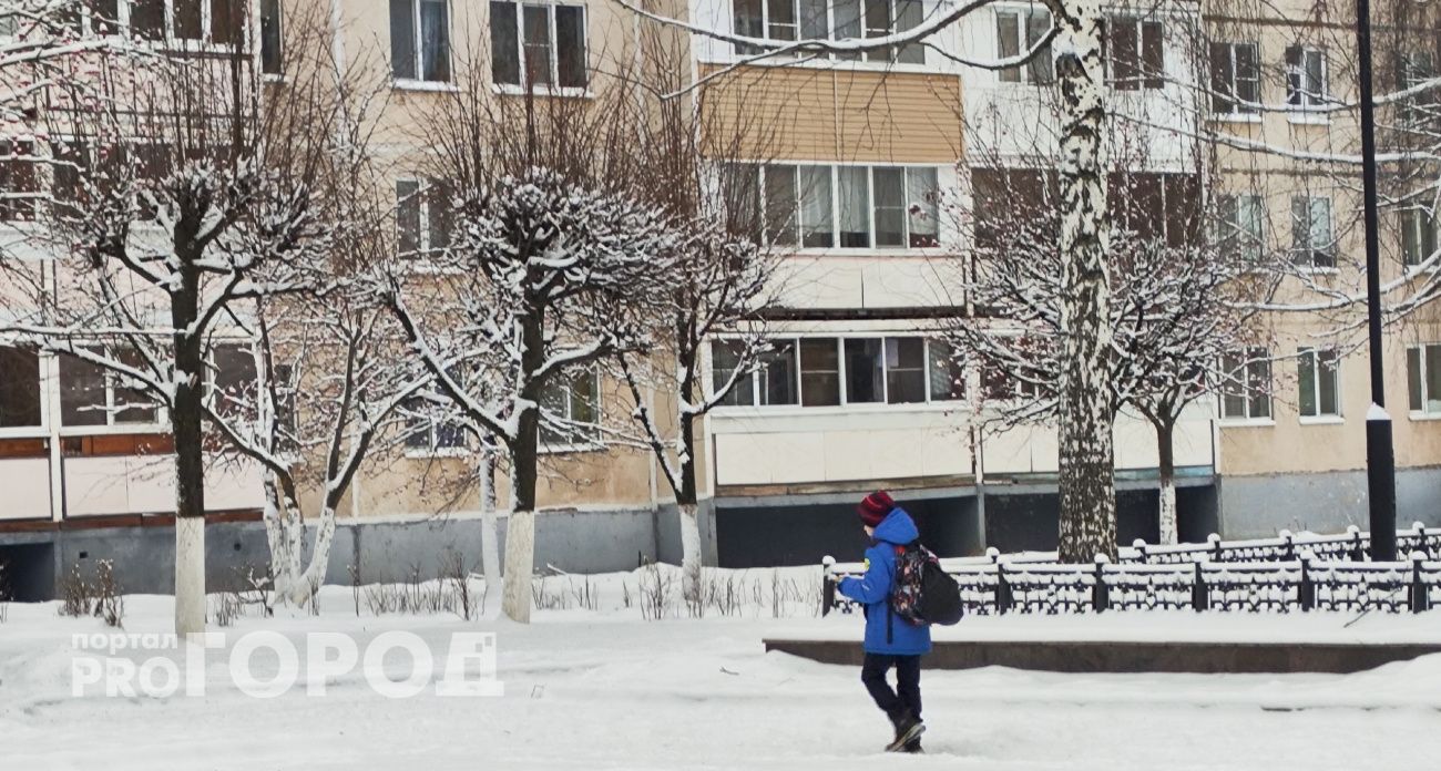 12-летний нижегородец оставил семью без денег, пытаясь получить награду