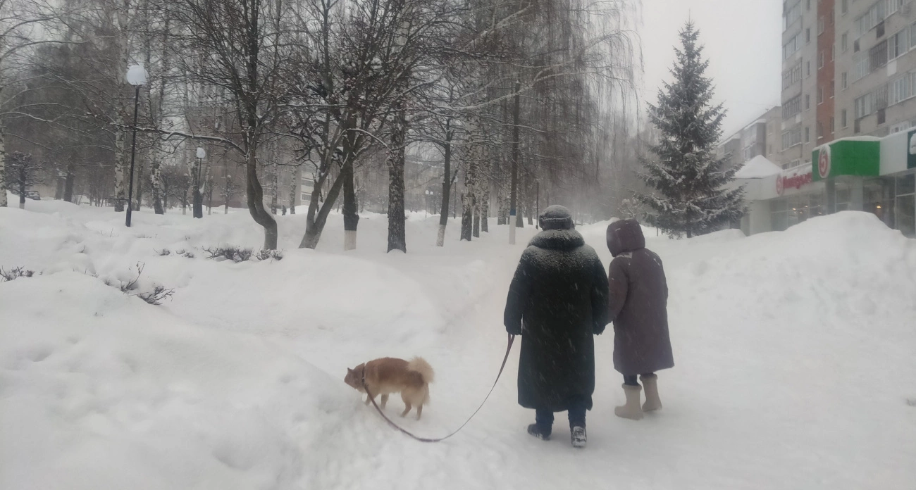 Фото к статье: Пенсии вырастут в четыре раза: россиянам преподнесли приятный сюрприз