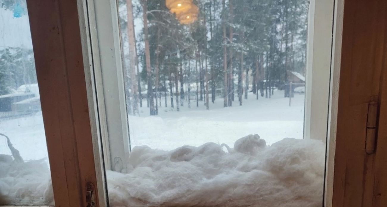 Из окон больше не дует: просто положите это на подоконник - наслаждайтесь теплом и ароматом леса в доме 