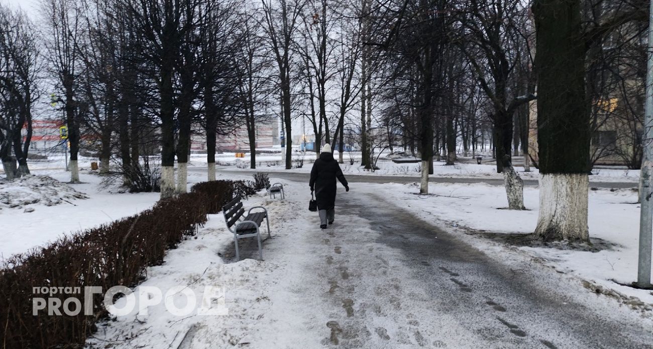 Обещания легкого заработка обернулись потерей 440 тысяч для жительницы Шахуньи