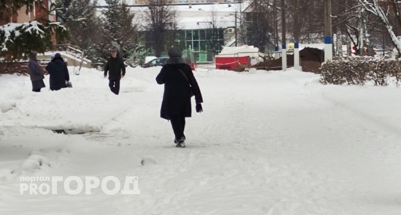 Обещанная компенсация за "полезные" добавки к еде лишила пенсионерку из Шахуньи 300 тысяч