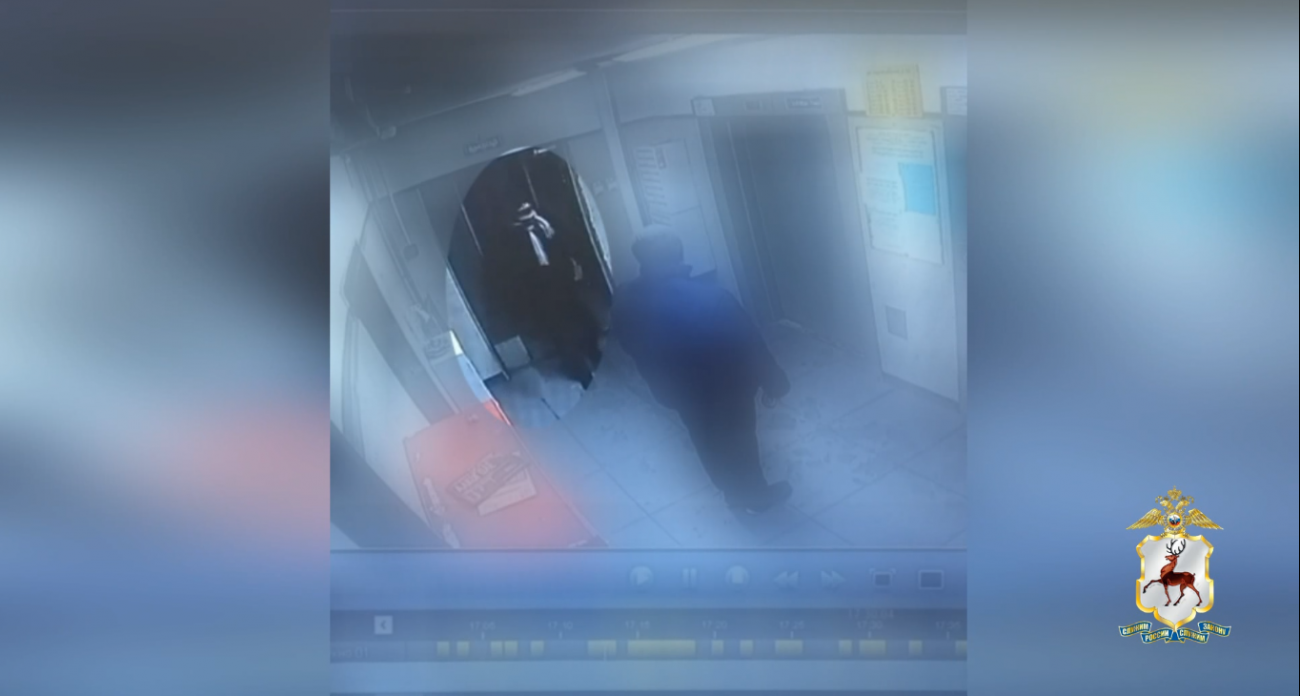 Нижегородец обрызгал женщину баллончиком и украл у нее сумку с 5 миллионами