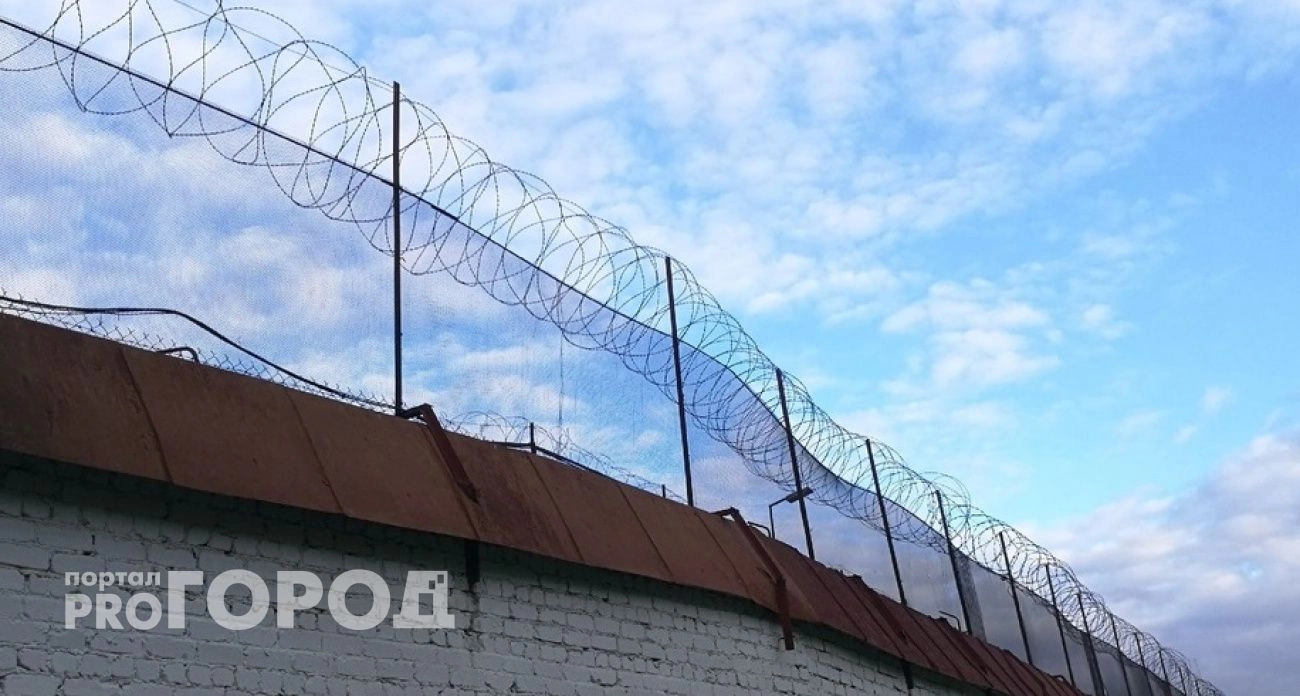 Фото к статье: Продажа несуществующих товаров обернулась для нижегородки 6 годами тюрьмы