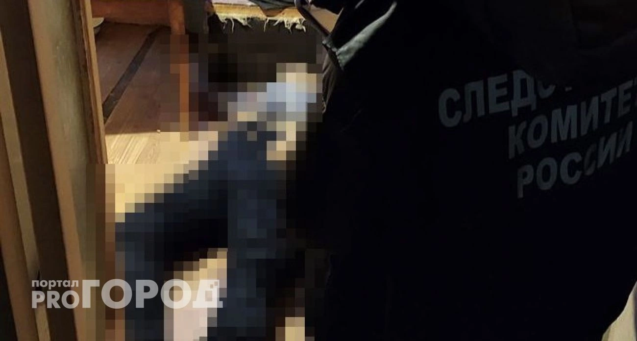 Фото к статье: Ссора сожителей в Кстовском районе закончилась кровавой расправой 