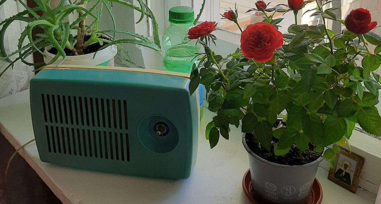 Срочно избавьтесь от этих вещей в вашем доме: снизите уровень стресса и тревожности