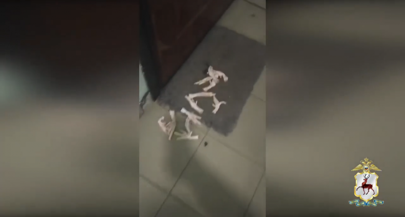 Развод довел до уголовного дела: нижегородец вымогал миллионы у юриста бывшей жены