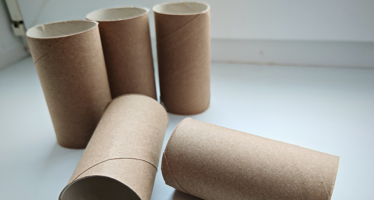 Втулки от туалетной бумаги берегу как зеницу ока: вот как их применяю — настоящая находка для решения многих проблем