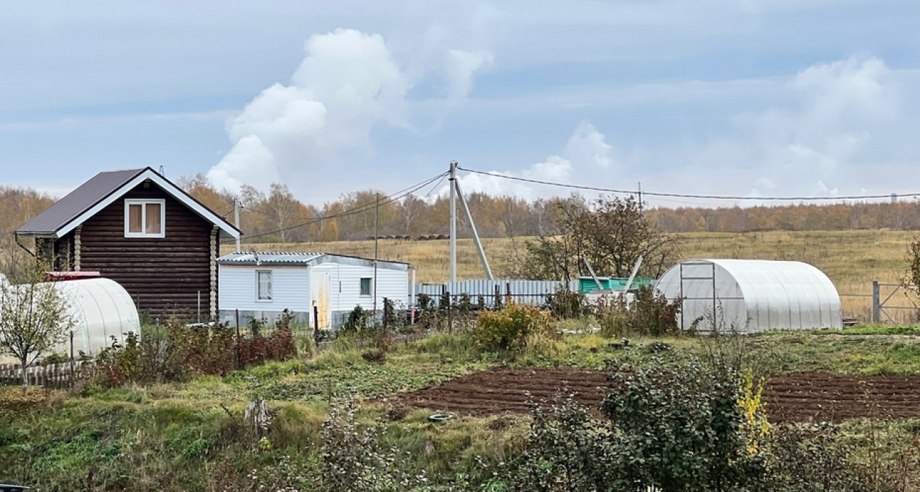 Полено для малины: кусты не разрастаются по участку, а ягоды собираю ведрами  