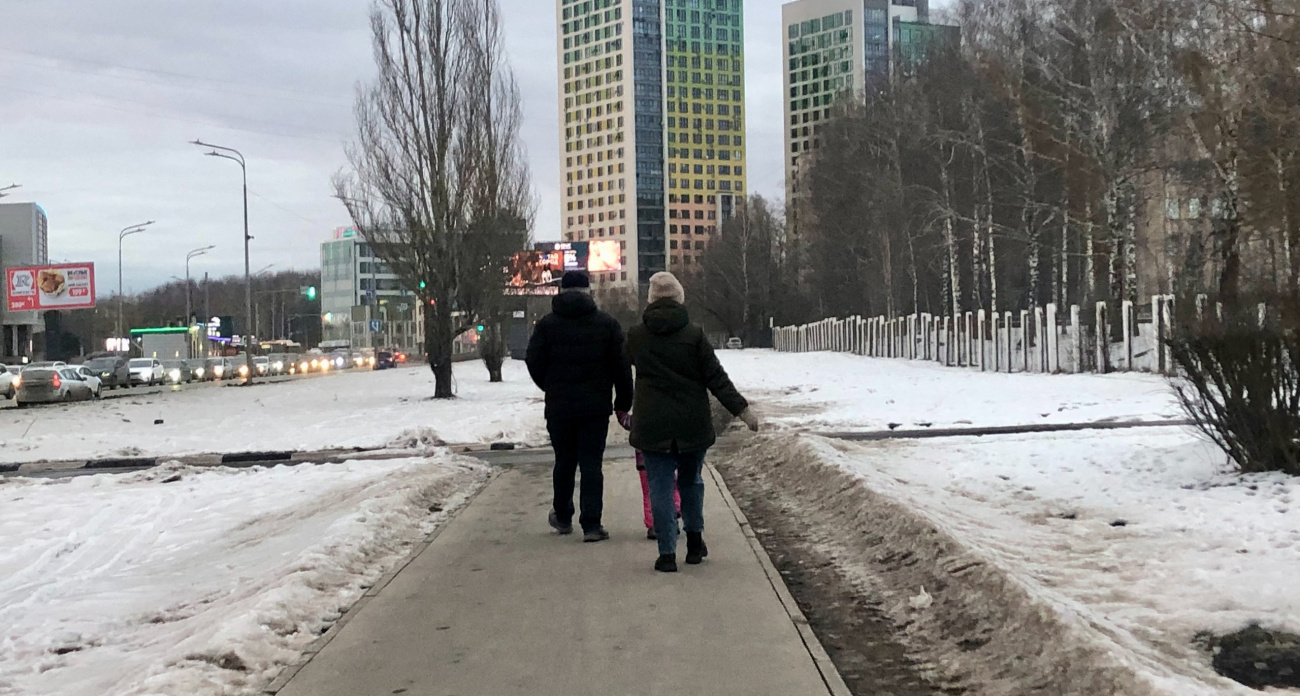 Нижний Новгород: расстрел собак и потеря 7 миллионов — главные новости за 01 марта