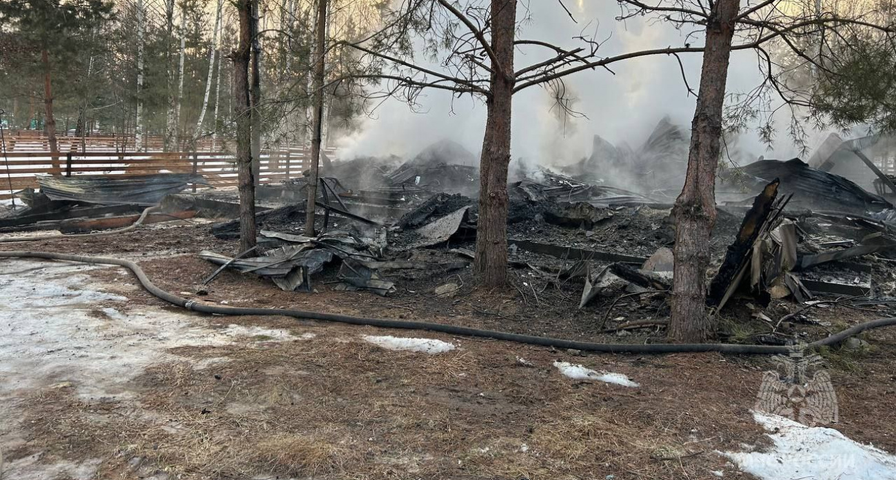 Частный дом сгорел дотла в Городецком районе