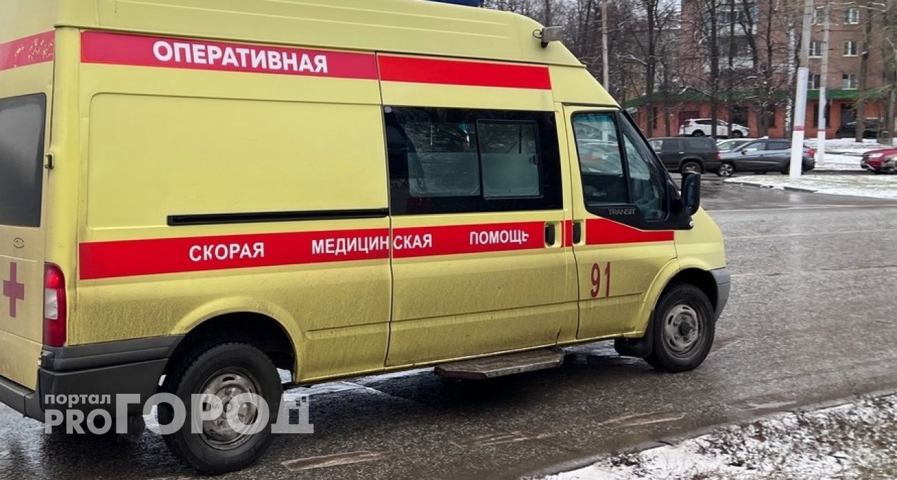 В Варнавинском районе водителя лесовоза убило стволом березы