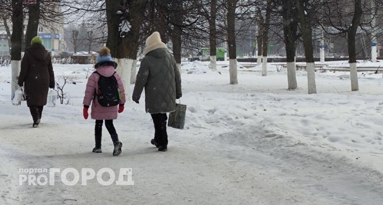 Женщина из Гагинского района стала уголовницей, получив материнский капитал