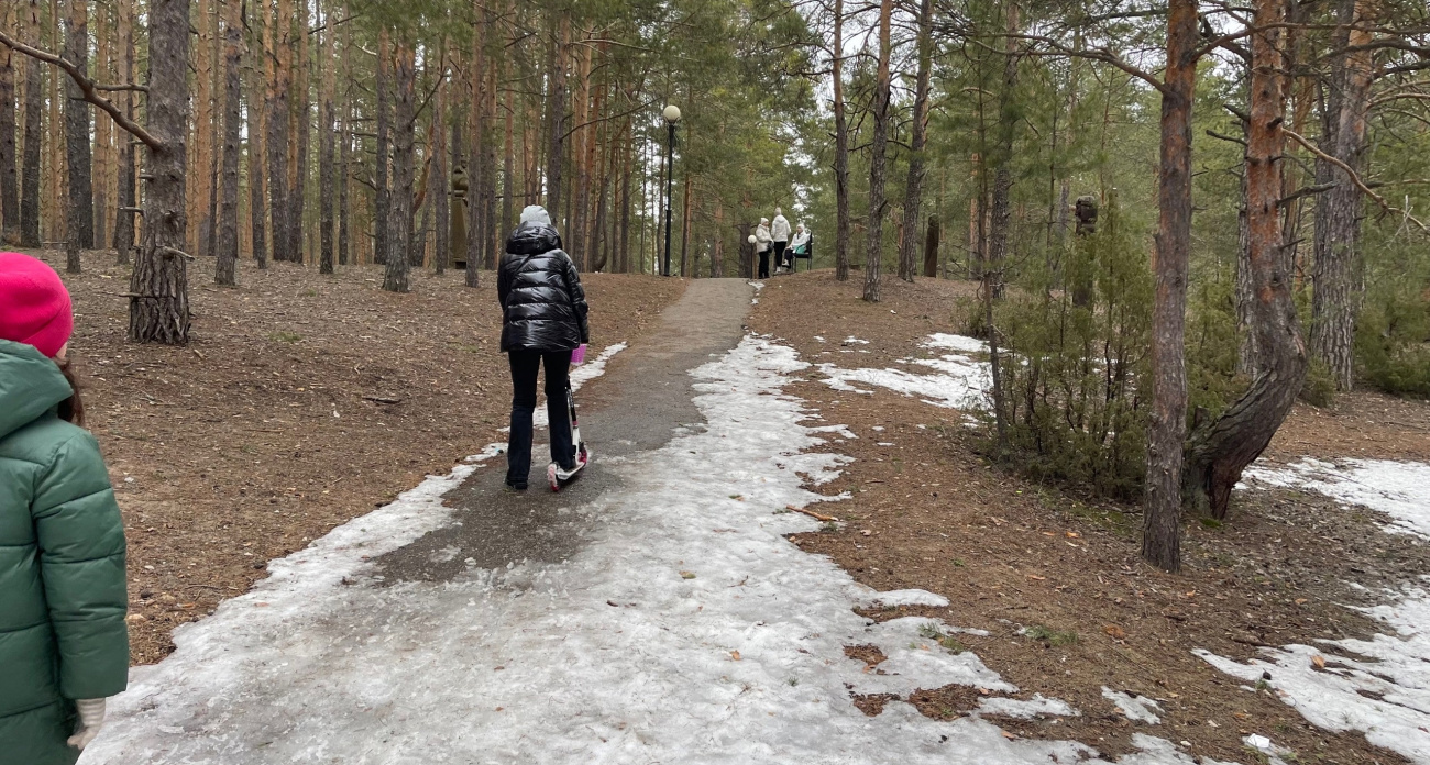 Всего половина чайной ложки в воду - и клещи будут обходить вас стороной: дорогие репелленты больше не нужны