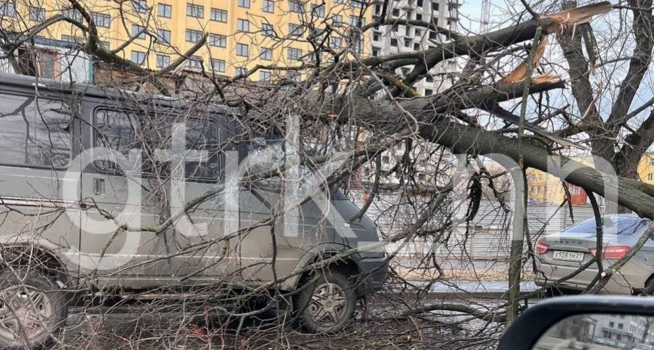 МЧС рассказало о разрушительных последствиях сильного ветра в Нижегородской области: пострадали автомобили и жилые дома