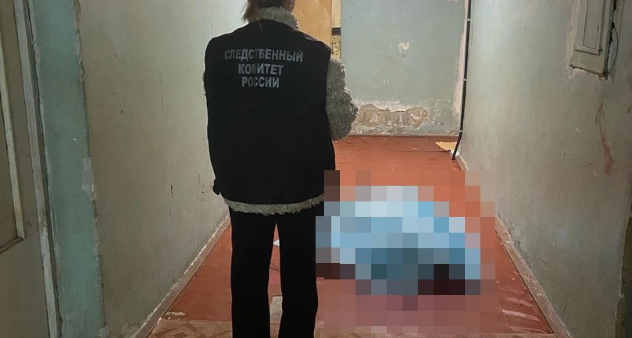 Фото к статье: Житель Павлова несколько раз ударил ножом родную мать 