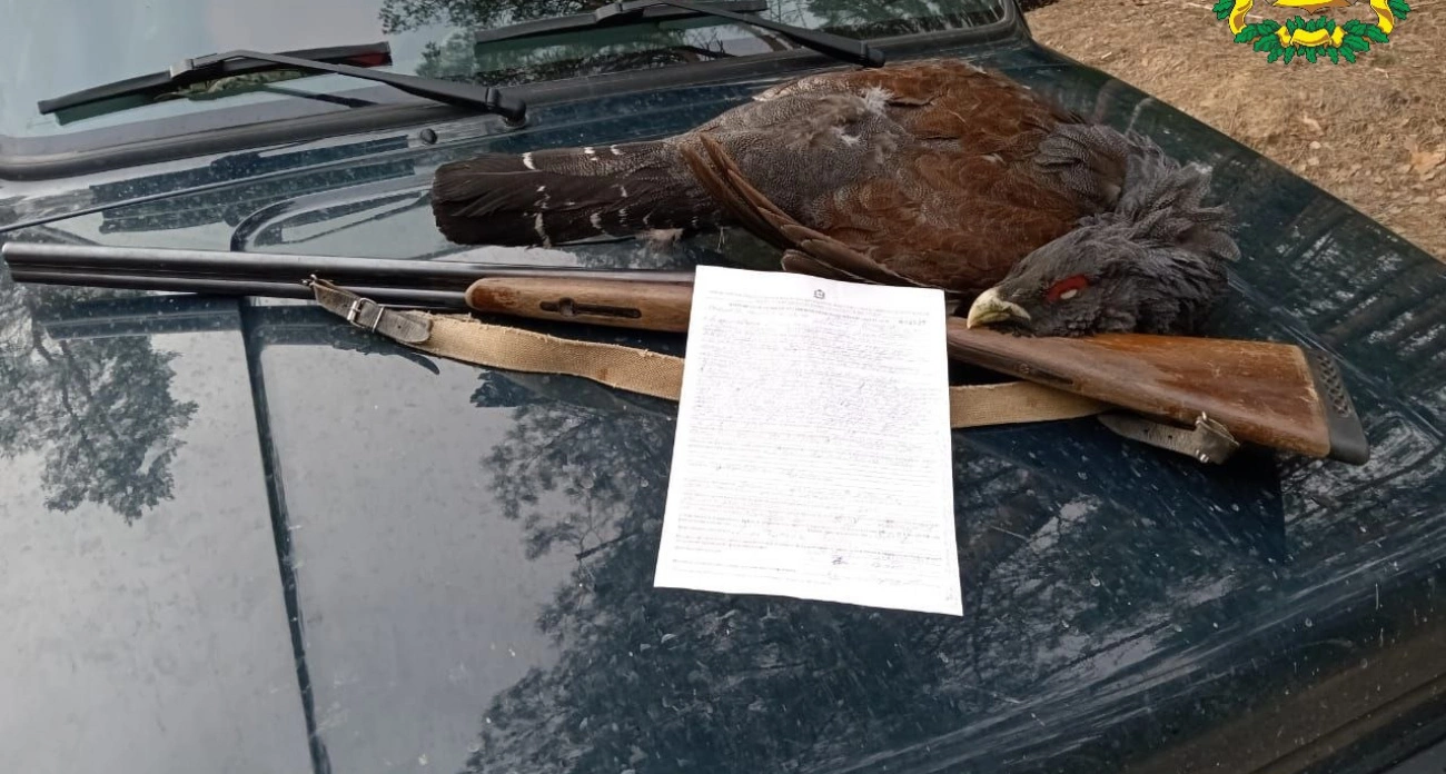 Фото к статье: В Семеновском районе поймали браконьера, который застрелил запрещенную птицу