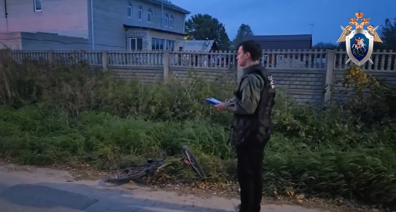 Фото к статье: В Борском районе будут судить водителя грузовика, который сбил 9-летнего ребенка на велосипеде