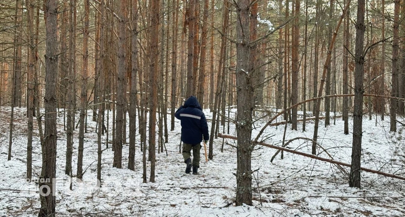 Фото к статье: В Нижегородской области за март пропали 90 человек