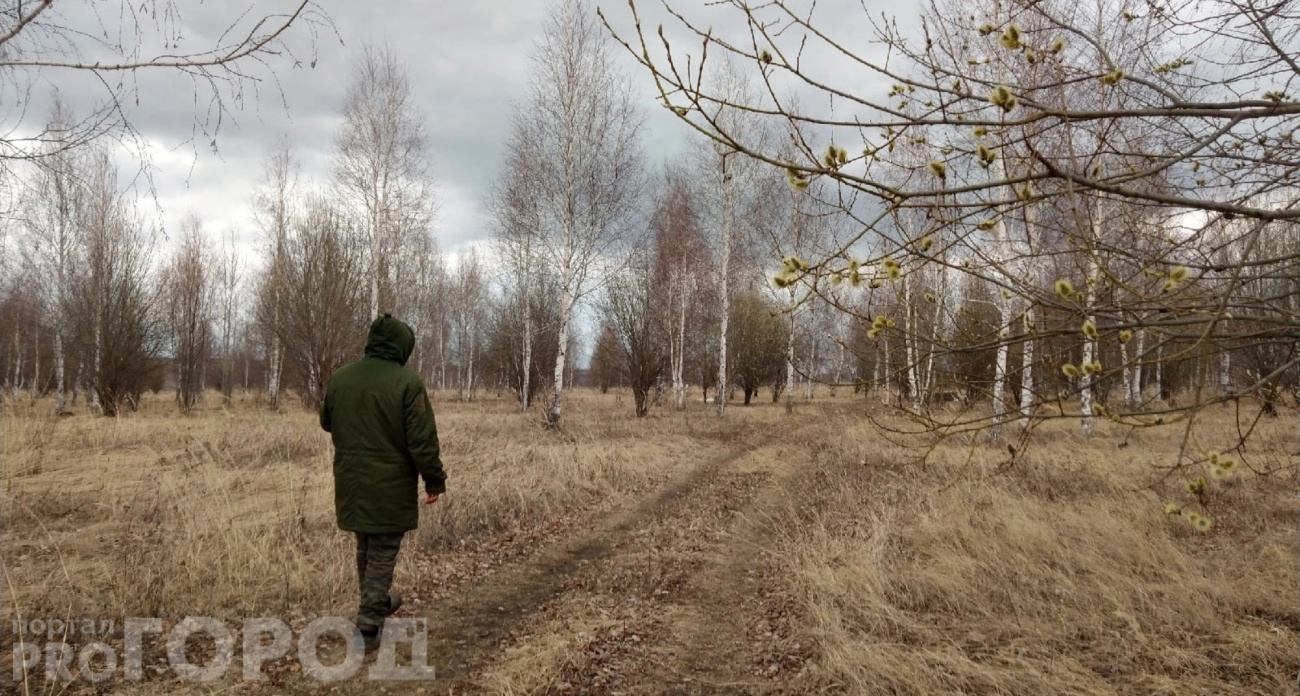 В Нижегородской области уже более 120 человек покусали клещи