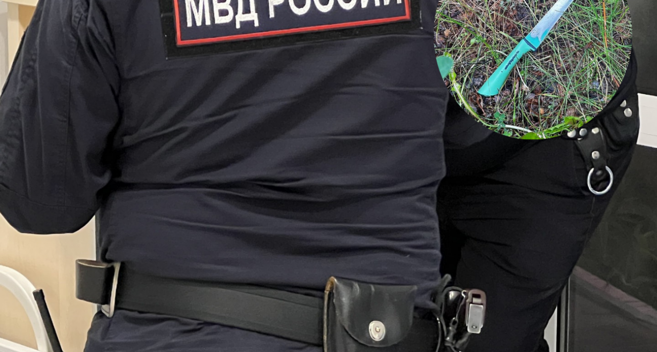 Фото к статье: Нижегородку осудили за убийство незнакомца, который мешал спать ее детям посреди ночи