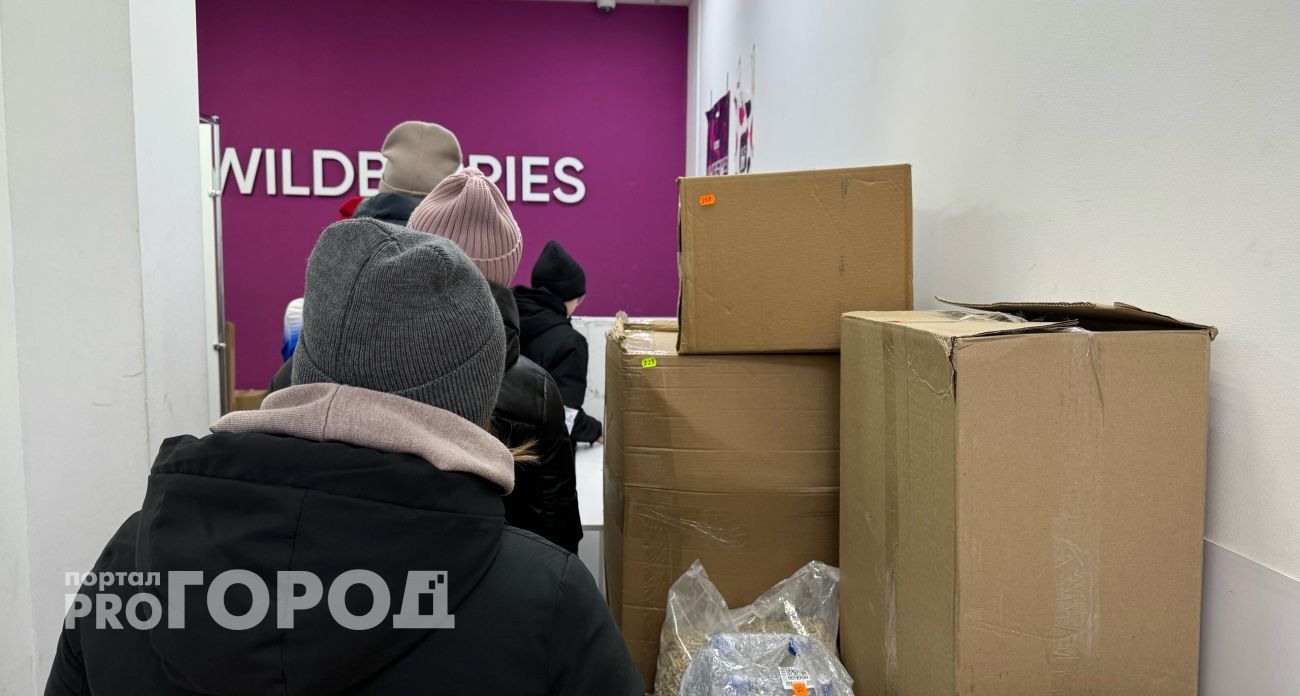 Фото к статье: В Павлово курьер популярного онлайн-магазина утащил домой почти 700 товаров на миллион рублей