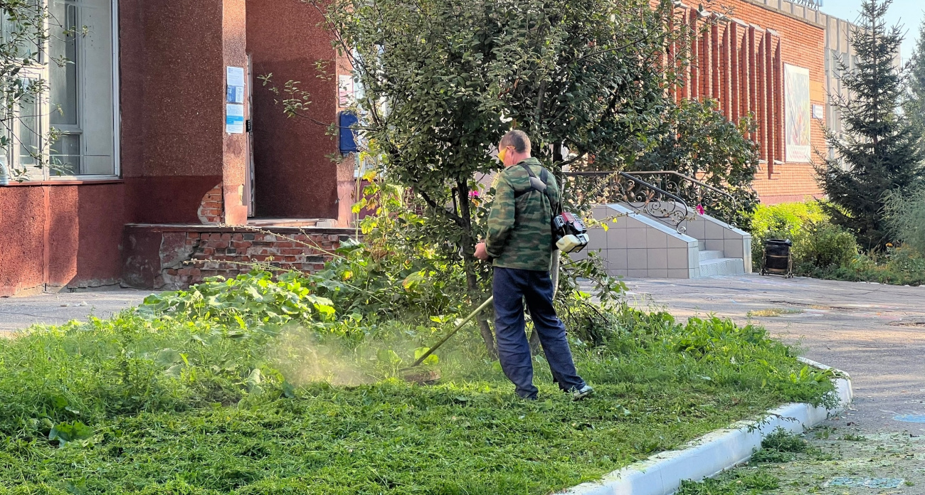 Фото к статье: Хуже борщевика: новый сорняк из Европы захватывает Россию