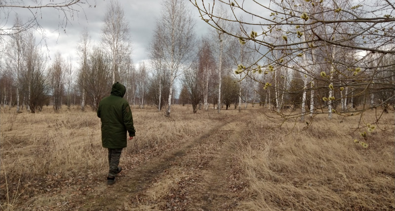 Фото к статье: Зима еще вернется: синоптики обещают новую волну холода в России